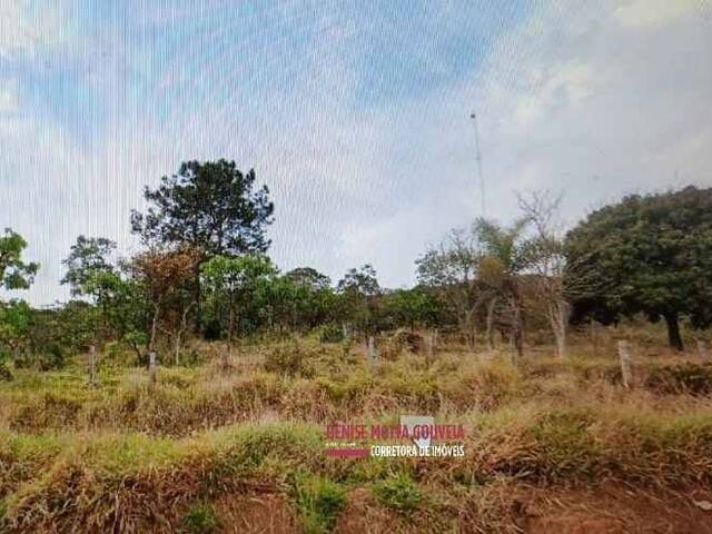 Área para Venda em Pardinho - 1